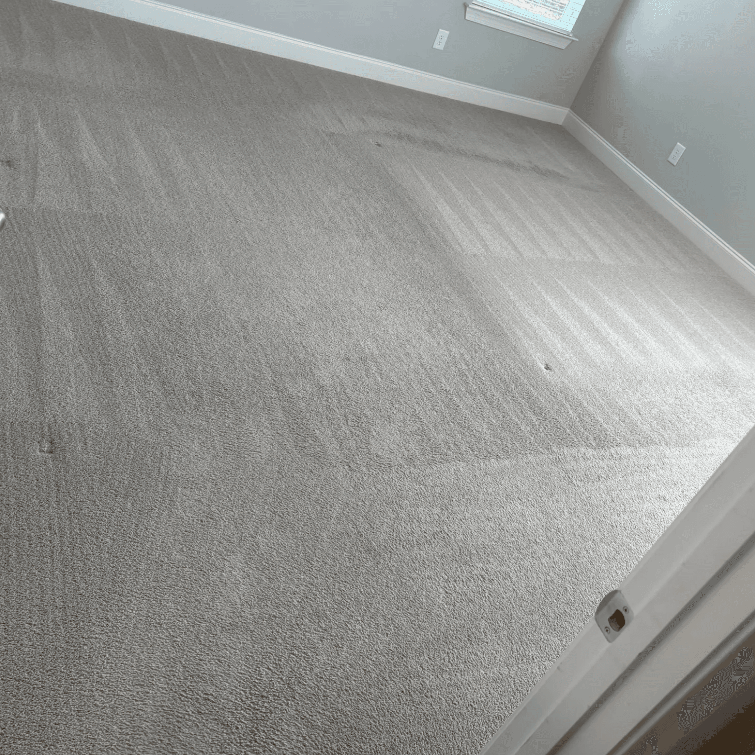 Carpet cleaning in Frisco, TX