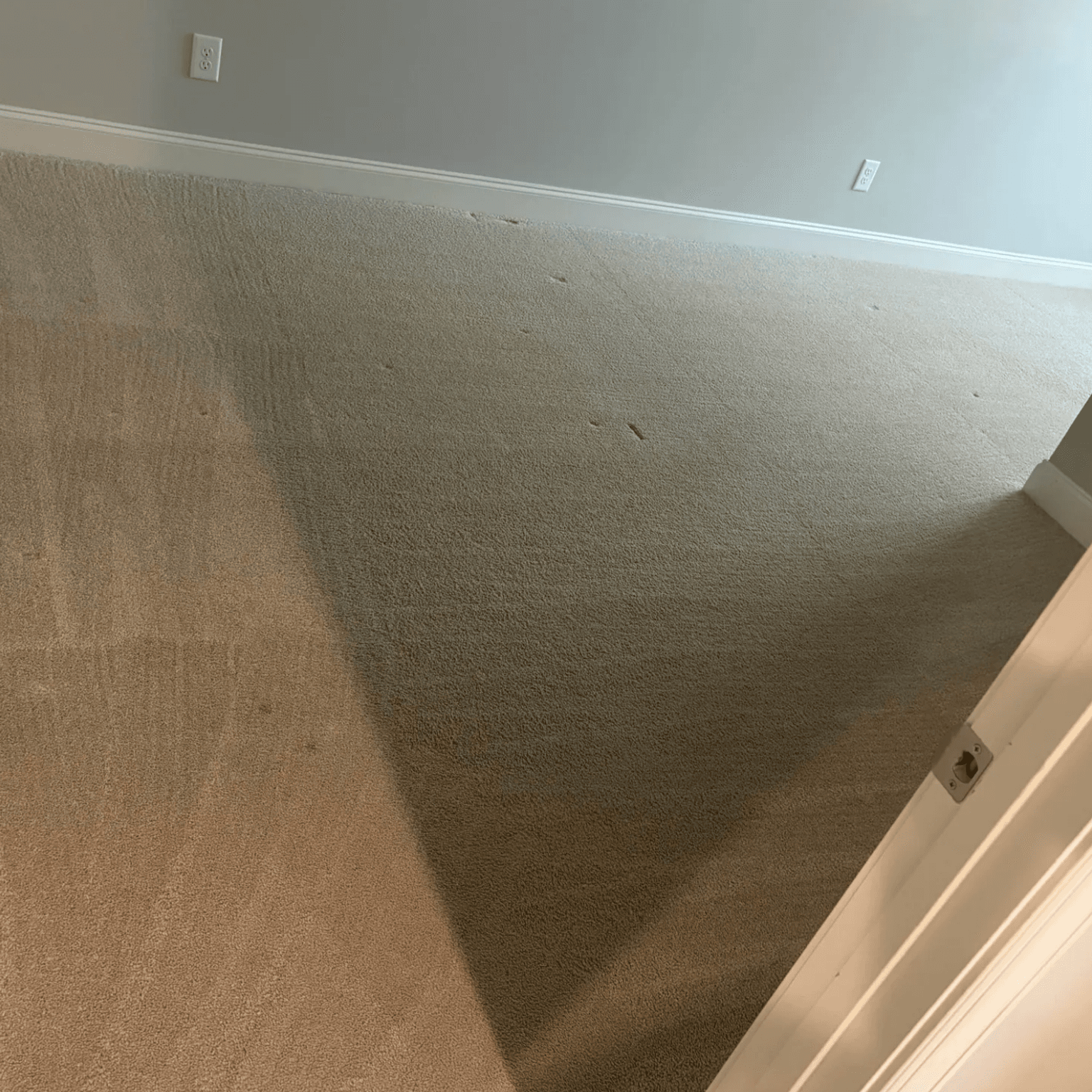 Carpet cleaning in McKinney, TX