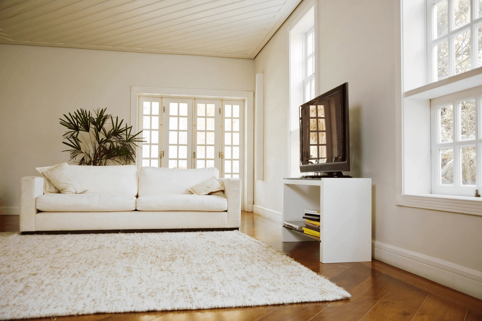 Carpet cleaning in Plano, TX