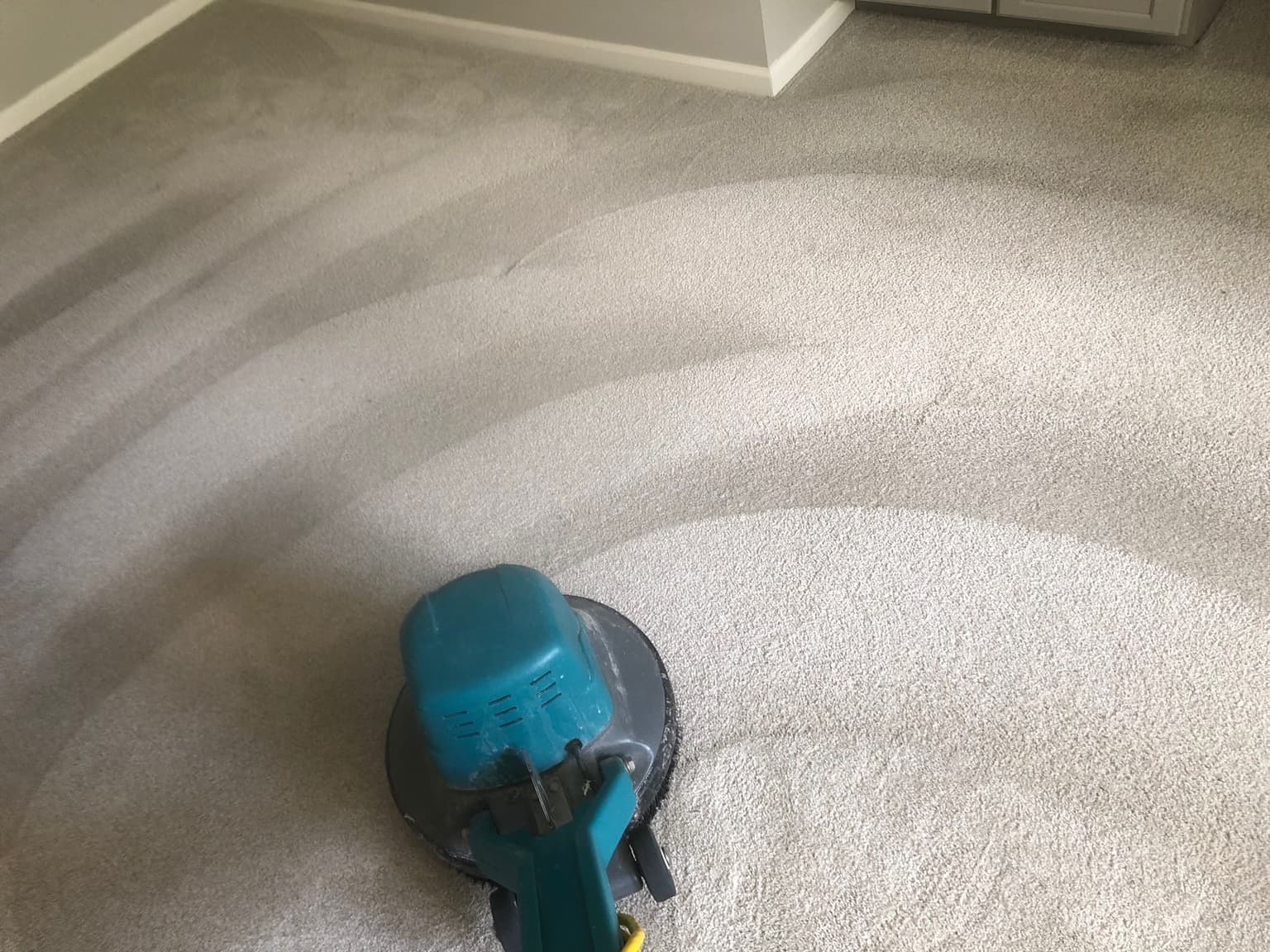 Freshly cleaned carpet being buffed in a Plano home